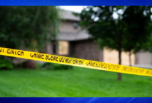 Tragic Accident in Florida Leaves Woman Dead After Horse Incident