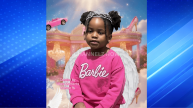 Tragic Death of 4-Year-Old Zuri Dixon After Domestic Dispute Stabbing in Southwest Atlanta