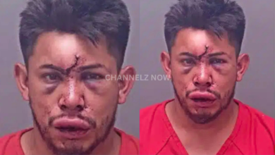 Teen Boy Steps In to Protect Mother During Domestic Violence Incident, Authorities Report