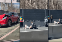 Woman and Dog Killed, Three Injured in I-495 Road Rage Stabbing; Suspect Fatally Shot by Police