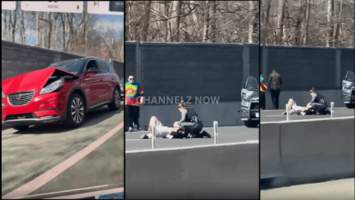 Woman and Dog Killed, Three Injured in I-495 Road Rage Stabbing; Suspect Fatally Shot by Police