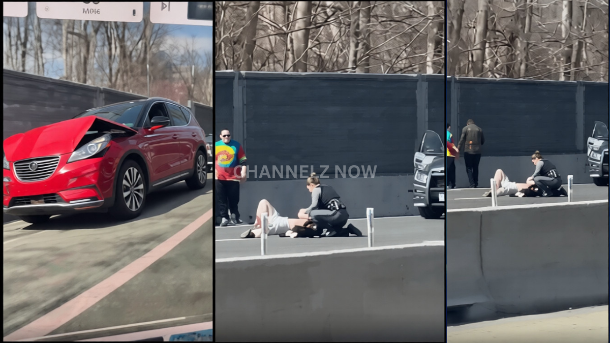 Woman and Dog Killed, Three Injured in I-495 Road Rage Stabbing; Suspect Fatally Shot by Police