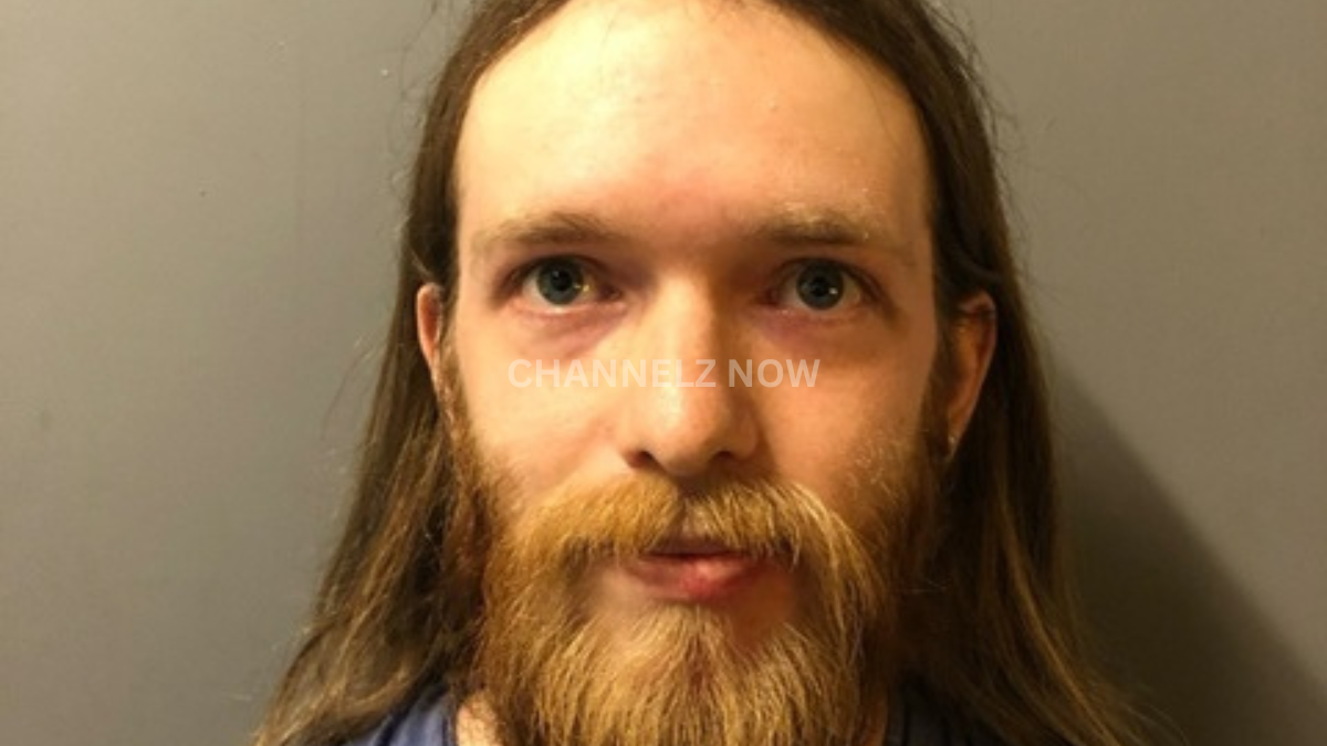 Police Arrest Newport Man Over Alleged Online Threats and Seize Multiple Weapons