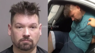 Florida Gubernatorial Candidate Arrested for Alleged Assault on Elderly Parents