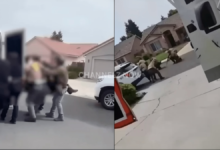 Video Shows Moments Tulare County Deputy Was Killed in Porterville Shooting